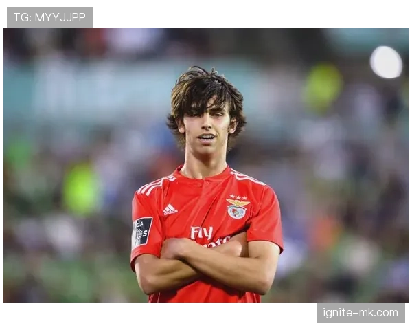 菲利克斯新赛季表现稳健，持续引领球队进攻创造力提升