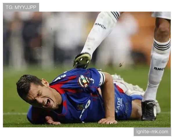 佩佩比赛影响力