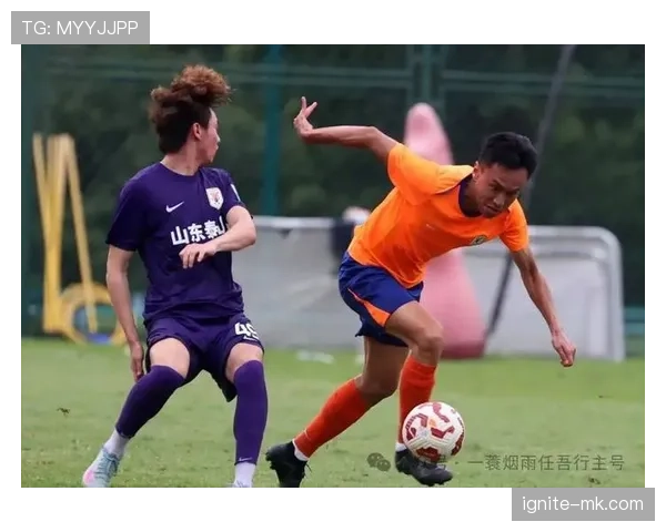 克雷桑起伏背后，山东泰山进攻真有稳定核心吗？