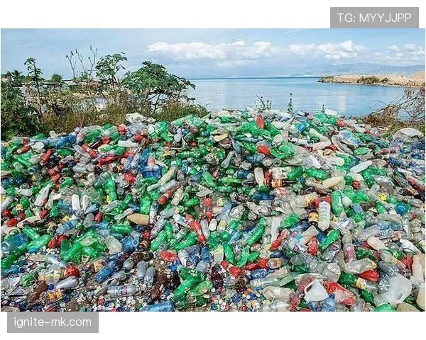 莫德里奇家冰箱里只有水和鸡胸肉，连瓶可乐都找不到